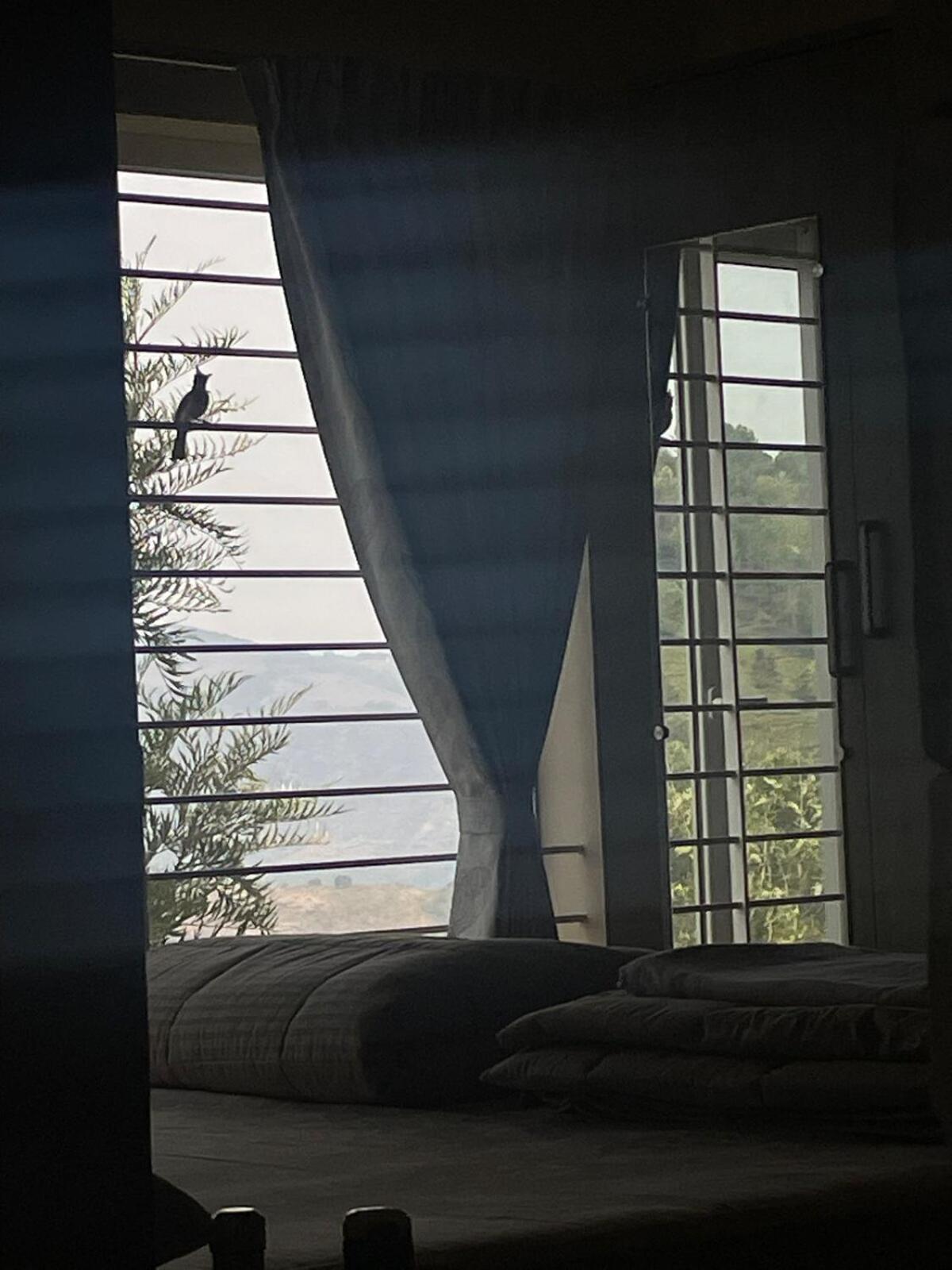 Villa Casa De Kcn Kotagiri Esterno foto